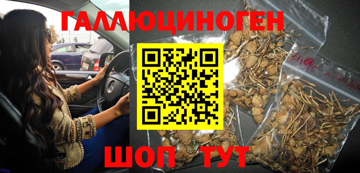 Псилоцибиновые грибы Magic Shrooms  Вход с VPN  хочу   Углич 